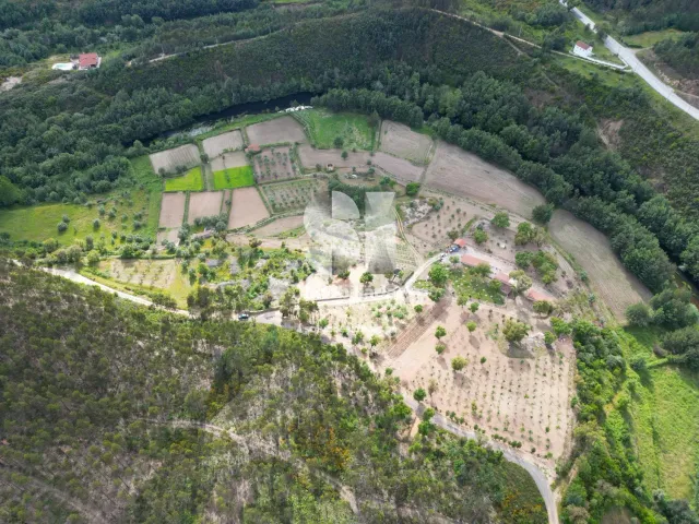Quinta T0 - Lavegadas, Vila Nova de Poiares, Coimbra - Miniatura: 26/26