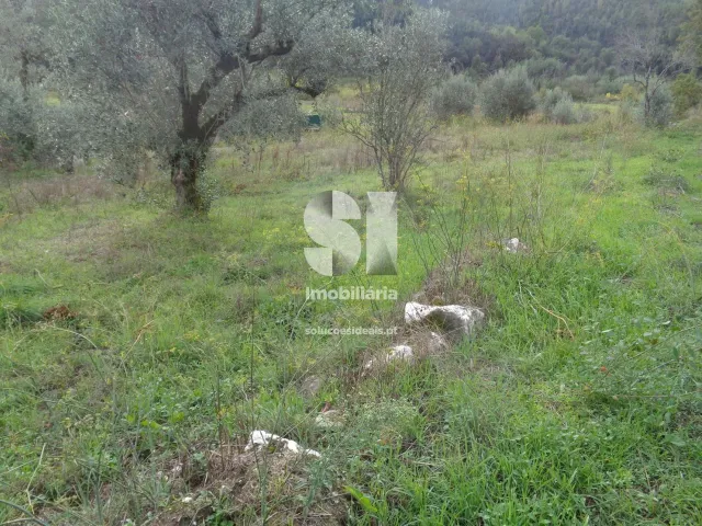 Terreno Urbano T0 - Lous�, Lous�, Coimbra - Miniatura: 2/10