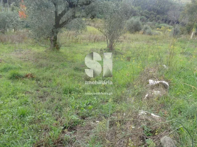 Terreno Urbano T0 - Lous�, Lous�, Coimbra - Miniatura: 3/10