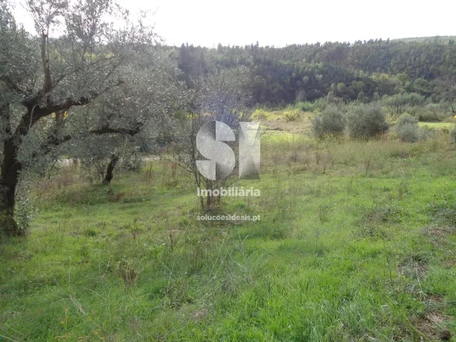 Terreno Urbano T0 - Lous�, Lous�, Coimbra - Miniatura: 4/10