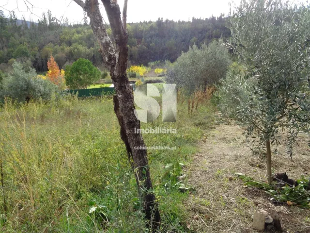 Terreno Urbano T0 - Lous�, Lous�, Coimbra - Miniatura: 5/10