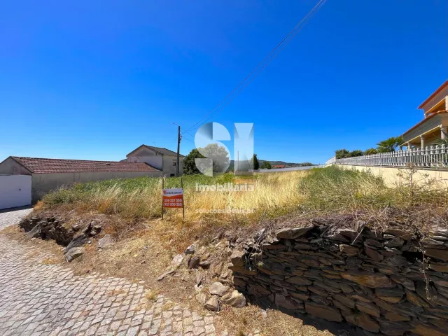 Terreno Urbano T0 - Sabrosa, Sabrosa, Vila Real - Miniatura: 1/11