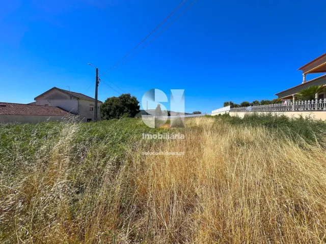 Terreno Urbano T0 - Sabrosa, Sabrosa, Vila Real - Miniatura: 3/11