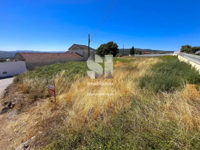 Terreno Urbano T0 - Sabrosa, Sabrosa, Vila Real - Miniatura: 4/11