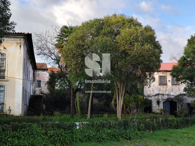 Pr�dio T0 - Arcos, Anadia, Aveiro - Miniatura: 10/11