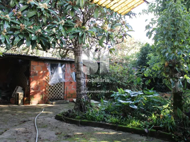 Moradia T3 - S�o Louren�o do Bairro, Anadia, Aveiro - Miniatura: 7/29