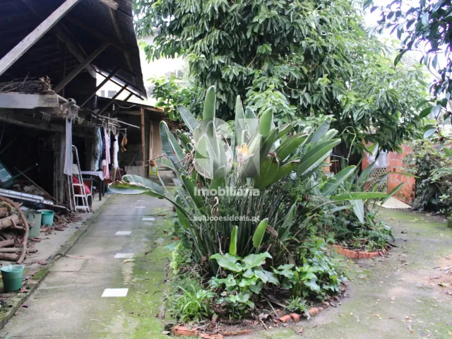 Moradia T3 - S�o Louren�o do Bairro, Anadia, Aveiro - Miniatura: 27/29