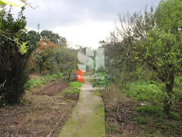 Moradia T3 - S�o Louren�o do Bairro, Anadia, Aveiro - Miniatura: 28/29