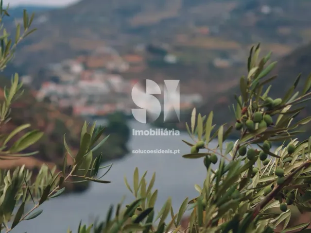 Pr�dio T0 - Pinh�o, Alij�, Vila Real - Miniatura: 8/14