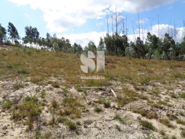 Terreno Urbano T0 - Poiares (Santo Andr�), Vila Nova de Poiares, Coimbra - Miniatura: 9/11