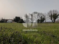 Terreno R�stico T0 - N�o Definido, N�o Definido, N�o Definido - Miniatura: 2/5