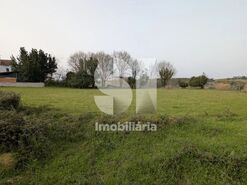 Terreno R�stico T0 - N�o Definido, N�o Definido, N�o Definido - Miniatura: 4/5