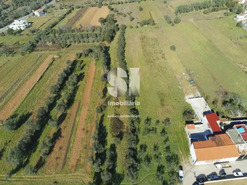 Terreno R�stico T0 - Foz de Arouce, Lous�, Coimbra - Miniatura: 5/7