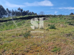 Terreno Urbano T0 - TERMAS DE S�O VICENTE, Penafiel, Porto - Miniatura: 25/49