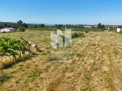 Terreno Urbano T0 - S�o Martinho de Antas e Paradela de Gui�es, Sabrosa, Vila Real - Miniatura: 1/21