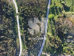 Terreno Urbano T0 - S�o Martinho da Corti�a, Arganil, Coimbra - Miniatura: 6/18