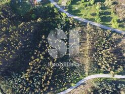 Terreno Urbano T0 - S�o Martinho da Corti�a, Arganil, Coimbra - Miniatura: 11/18