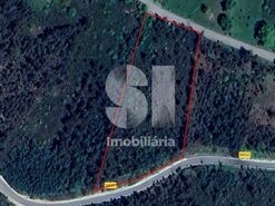 Terreno Urbano T0 - S�o Martinho da Corti�a, Arganil, Coimbra - Miniatura: 15/18