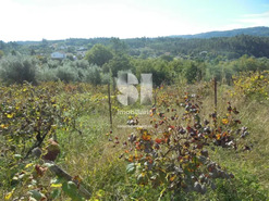 Terreno Urbano T0 - Poiares (Santo Andr�), Vila Nova de Poiares, Coimbra - Miniatura: 8/11
