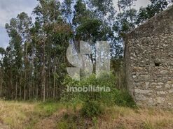 Terreno R�stico T0 - Bolho, Cantanhede, Coimbra - Miniatura: 1/3