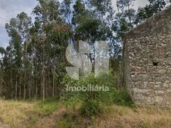 Terreno R�stico T0 - Bolho, Cantanhede, Coimbra - Miniatura: 2/3