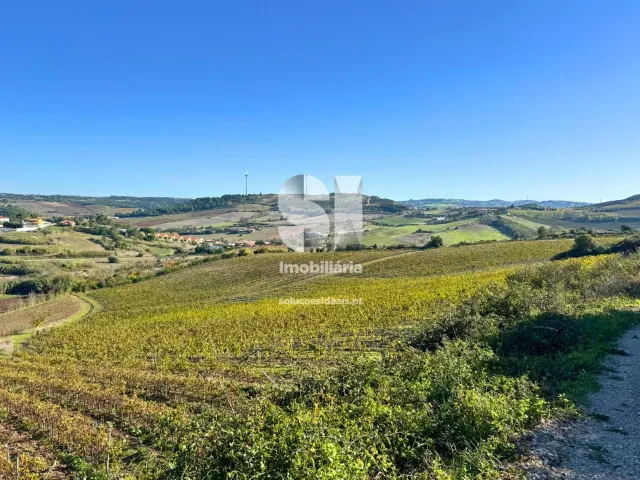 Terreno Urbano T0 - Torres Vedras, Torres Vedras, Lisboa - Imagem grande