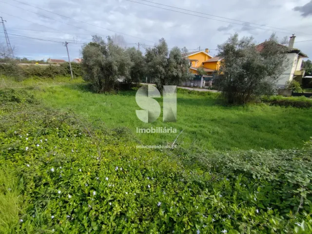 Terreno Urbano T0 - Pampilhosa, Mealhada, Aveiro - Imagem grande