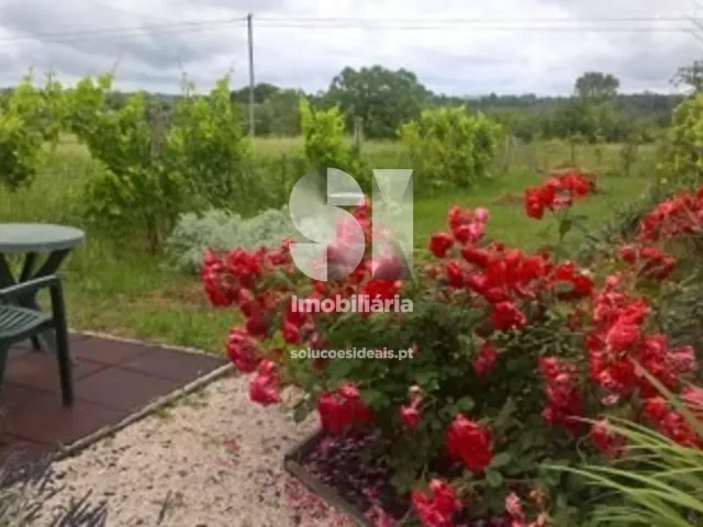 Moradia T2 - Pinheiro de C�ja, T�bua, Coimbra - Imagem grande