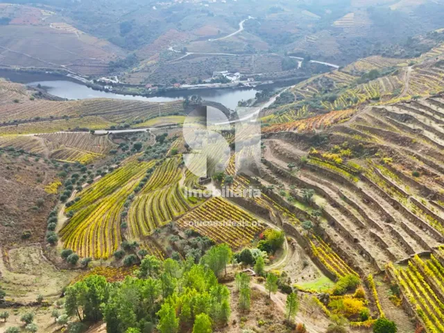 Terreno Urbano T0 - Candedo, Mur�a, Vila Real - Imagem grande