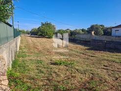 Terreno Rstico - Tamengos, Anadia, Aveiro