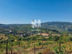 Quinta T1 - Peso da Régua, Peso da Régua, Vila Real - Miniatura: 7/22