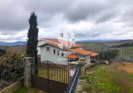 Quinta T5 - Alij, Alij, Vila Real - Miniatura: 3/39