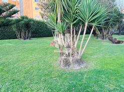 Apartamento T2 - Porto, Porto, Porto - Miniatura: 22/28
