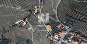 Moradia T2 - Sever, Santa Marta de Penaguio, Vila Real - Miniatura: 11/11