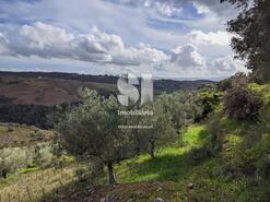 Terreno Rstico - Abaas, Vila Real, Vila Real - Miniatura: 5/14