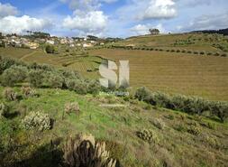 Terreno Rstico - Abaas, Vila Real, Vila Real - Miniatura: 6/14