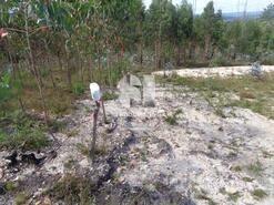 Terreno Rústico - Vila Nova de Poiares, Vila Nova de Poiares, Coimbra - Miniatura: 3/11