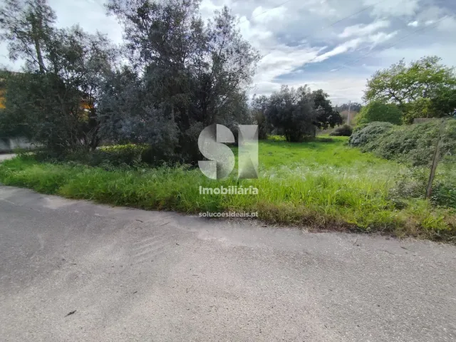 Terreno Urbano T0 - Pampilhosa, Mealhada, Aveiro - Miniatura: 5/10
