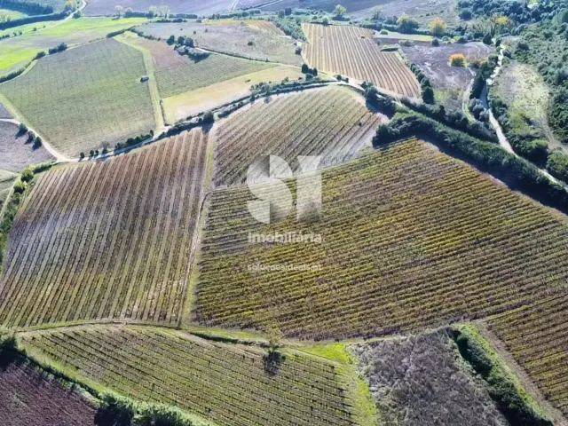 Terreno Urbano T0 - Torres Vedras, Torres Vedras, Lisboa - Miniatura: 7/16