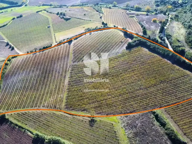 Terreno Urbano T0 - Torres Vedras, Torres Vedras, Lisboa - Miniatura: 8/16