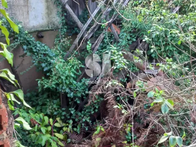 Moradia T5 - Arrifana, Vila Nova de Poiares, Coimbra - Miniatura: 6/18