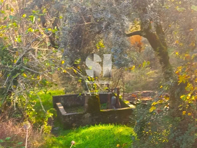 Moradia T5 - Arrifana, Vila Nova de Poiares, Coimbra - Miniatura: 14/18