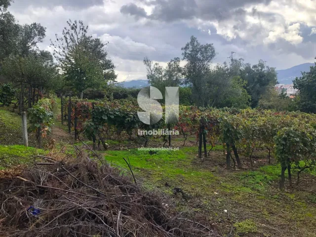 Terreno Urbano T0 - Mateus, Vila Real, Vila Real - Miniatura: 4/26