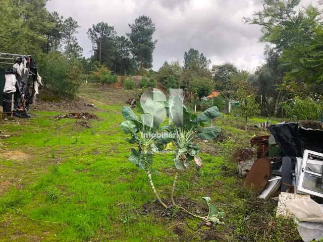 Terreno Urbano T0 - Mateus, Vila Real, Vila Real - Miniatura: 6/26