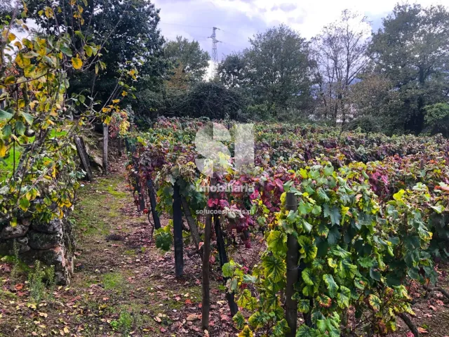 Terreno Urbano T0 - Mateus, Vila Real, Vila Real - Miniatura: 8/26