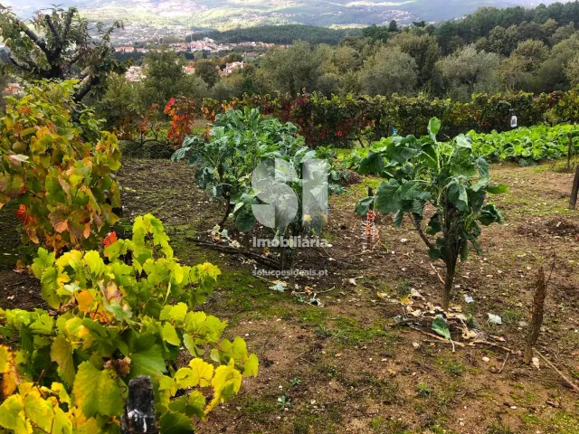 Terreno Urbano T0 - Mateus, Vila Real, Vila Real - Miniatura: 9/26