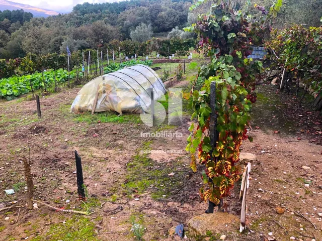 Terreno Urbano T0 - Mateus, Vila Real, Vila Real - Miniatura: 10/26
