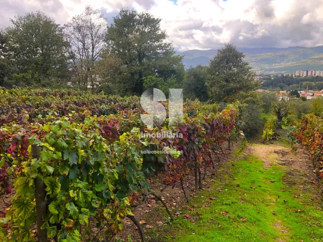 Terreno Urbano T0 - Mateus, Vila Real, Vila Real - Miniatura: 11/26