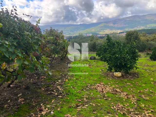 Terreno Urbano T0 - Mateus, Vila Real, Vila Real - Miniatura: 14/26