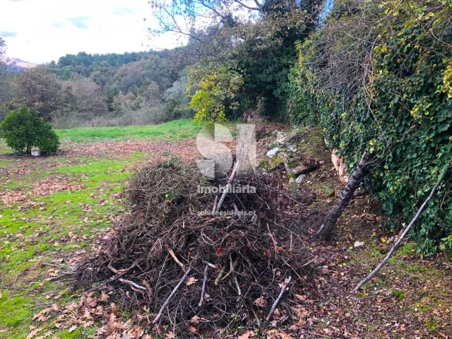 Terreno Urbano T0 - Mateus, Vila Real, Vila Real - Miniatura: 15/26